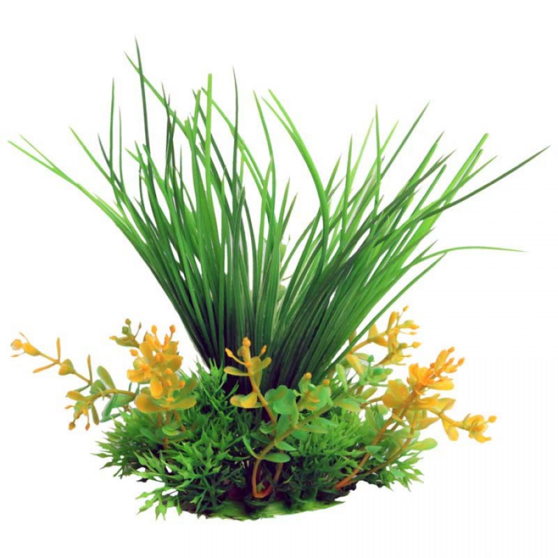 Small Grass Green - Ecoscape