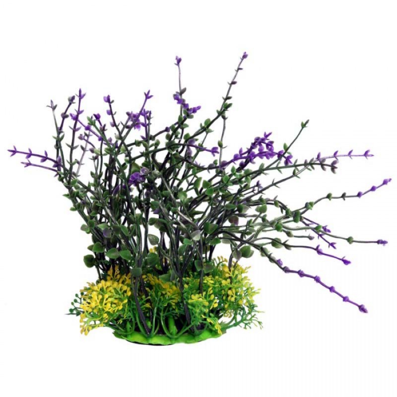Medium Bladderwort Purple - Ecoscape