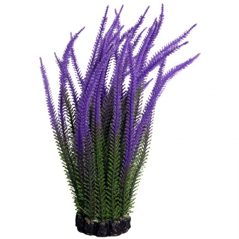 Medium Lavender - Ecoscape