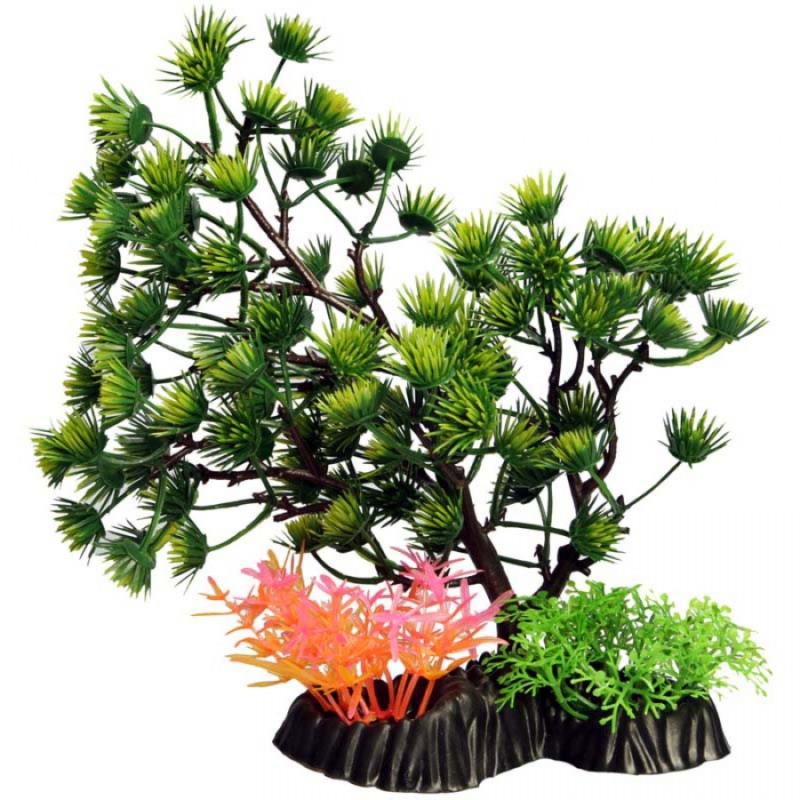 Medium Umbrella Pine Green - Ecoscape