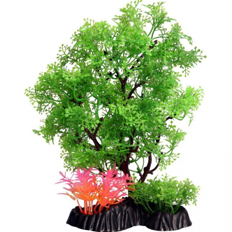 Medium Pollicem Ranae Tree - Ecoscape