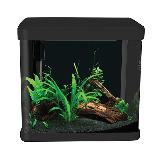 Aqua One LifeStyle 21 Glass Aquarium