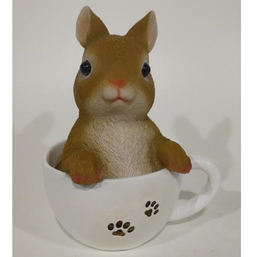 Rabbit in Paw Cup