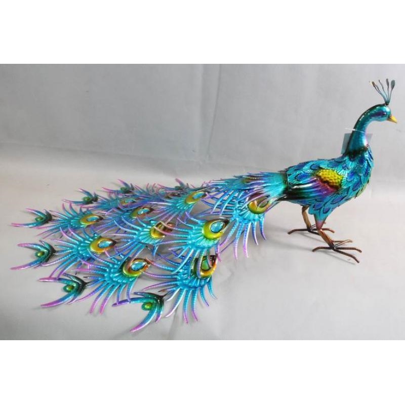 Peacock Elegant Penelope