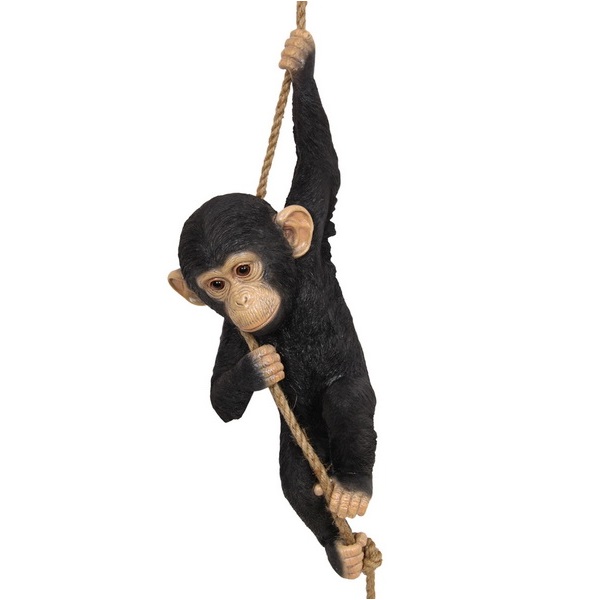 Hanging Chimpanzee
