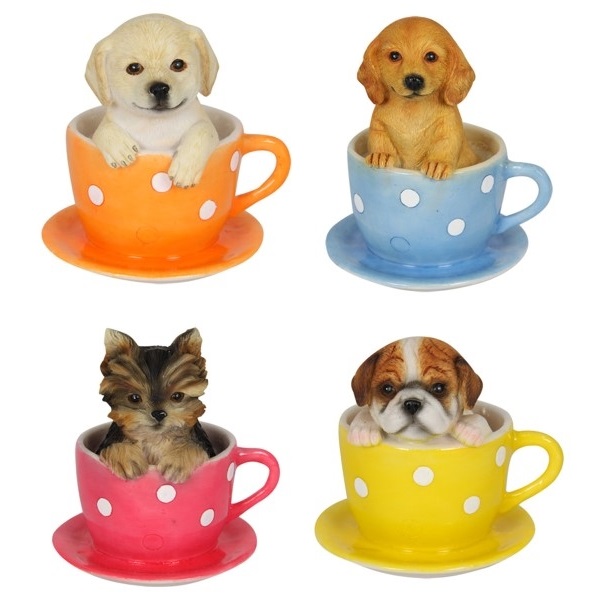 Dog in Spotty Tea Cup