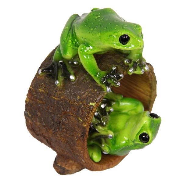 Frogs Playing on Log