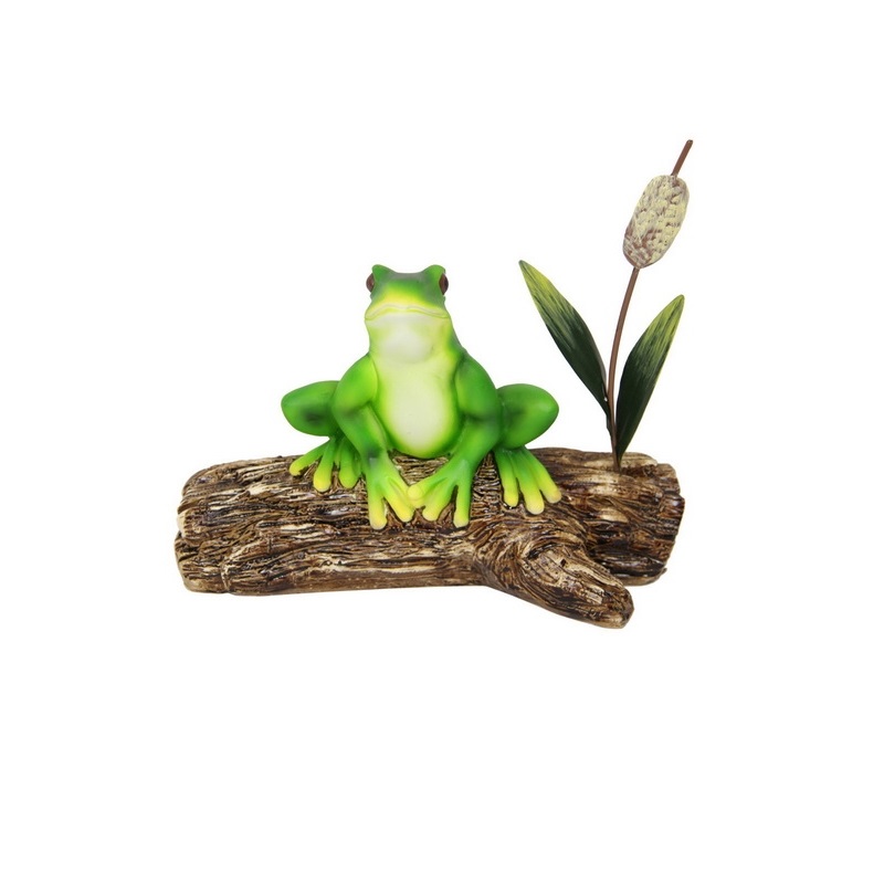 Frog Sitting on Log