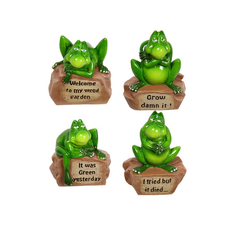 Green Frog on Rock with Funny Wording