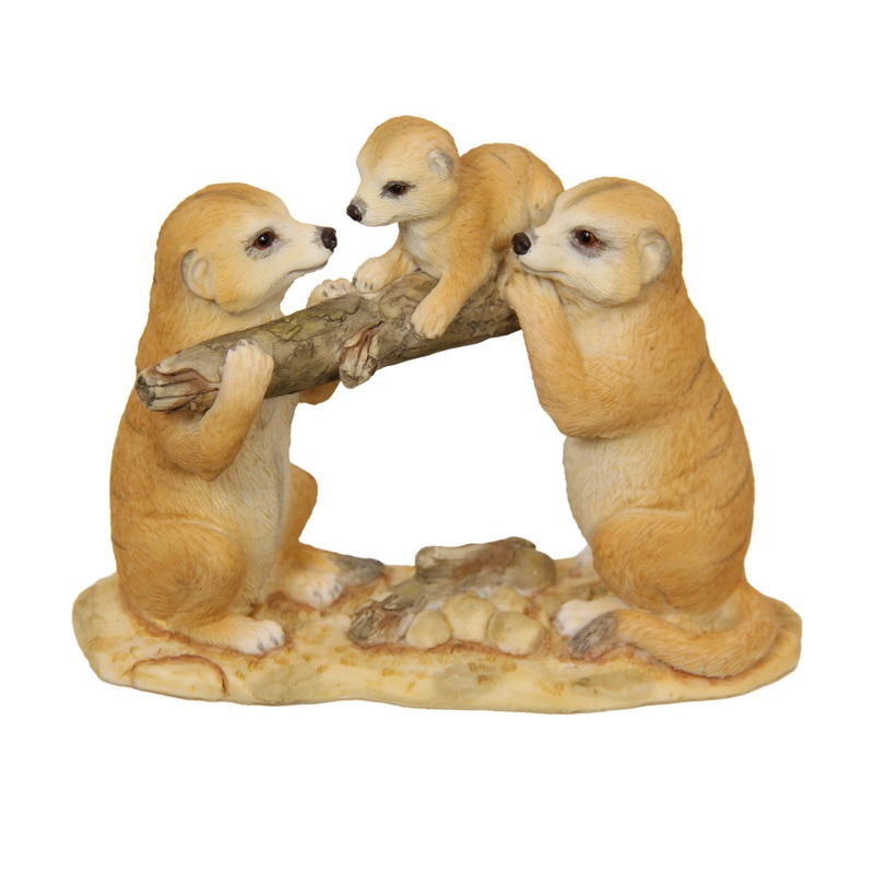 Meerkat Family with Baby on Log