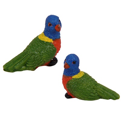 Miniature Parrots