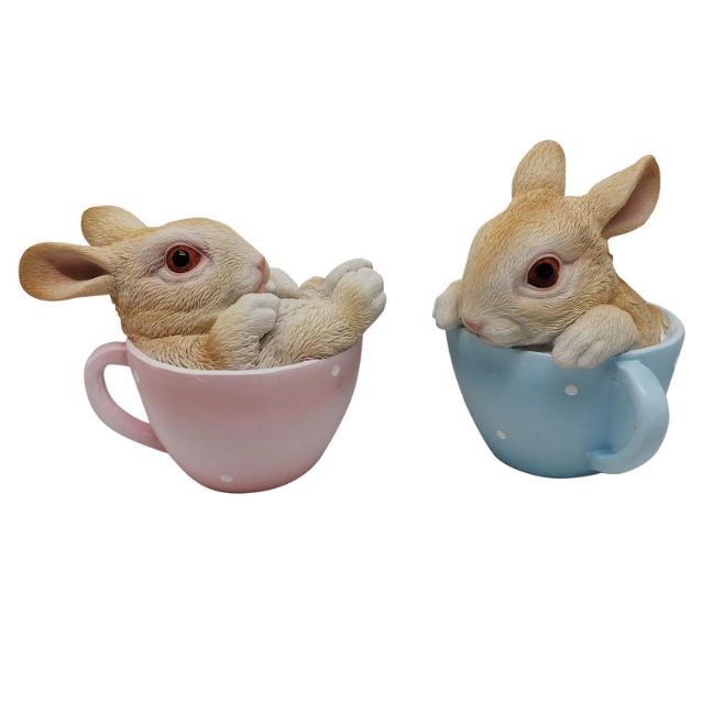 Rabbit in Teacup