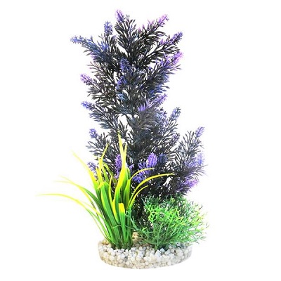 Pacifica Purple Plant 30cm
