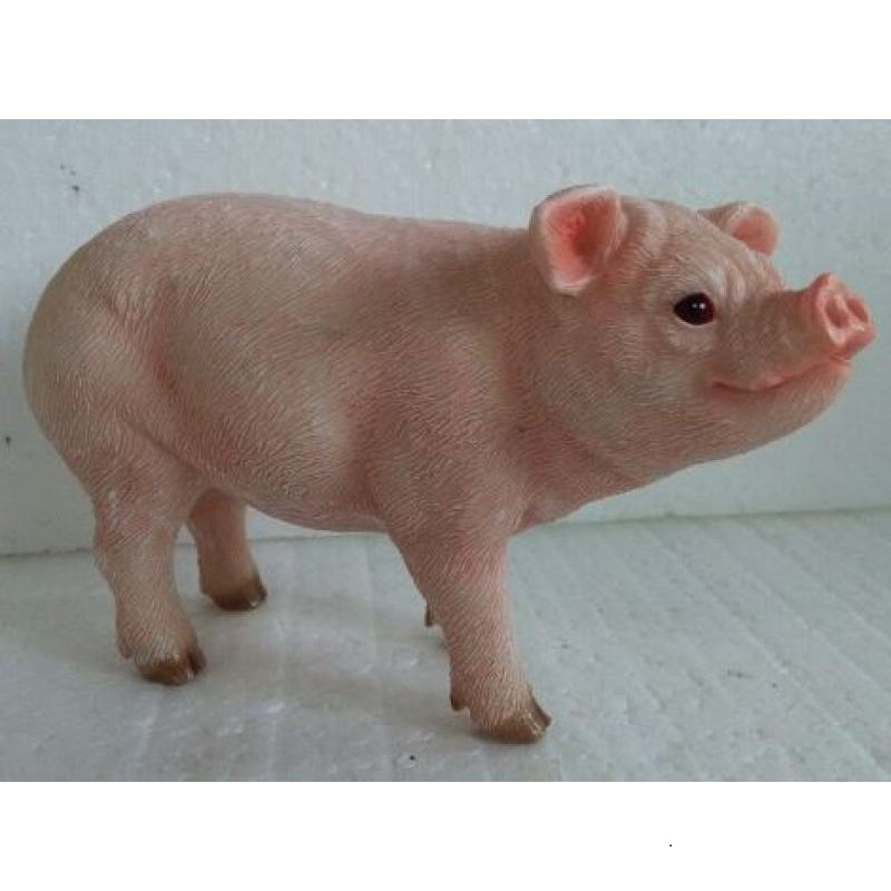 Pig